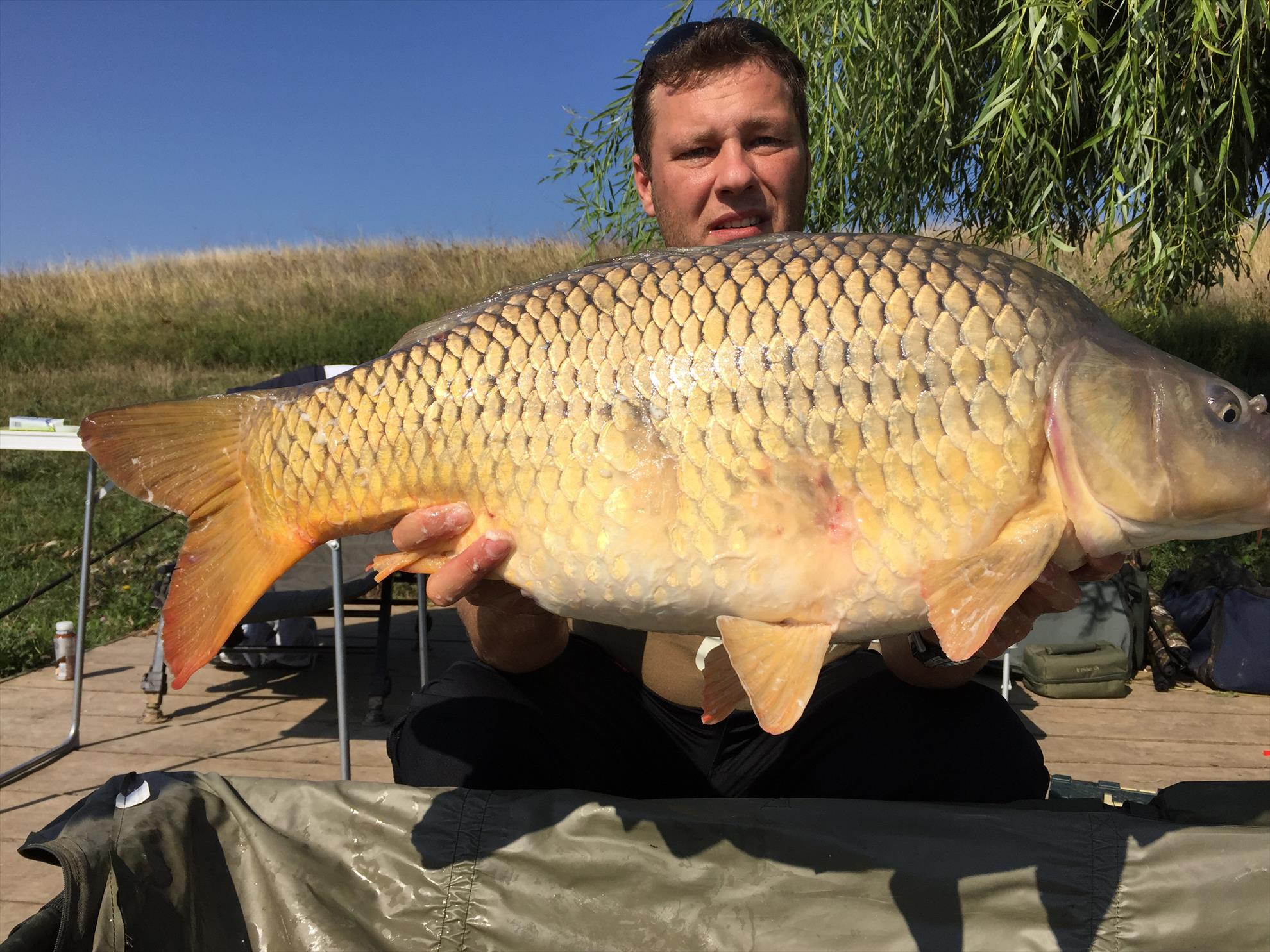 Moara Vlasiei - image.jpg